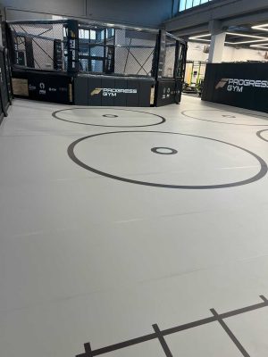 Sztuki walki w Progress Gym Wrocław