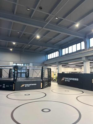 Sztuki walki w Progress Gym Wrocław